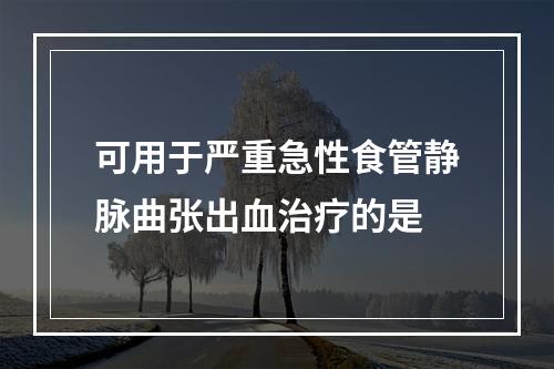 可用于严重急性食管静脉曲张出血治疗的是