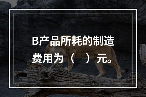 B产品所耗的制造费用为（　）元。