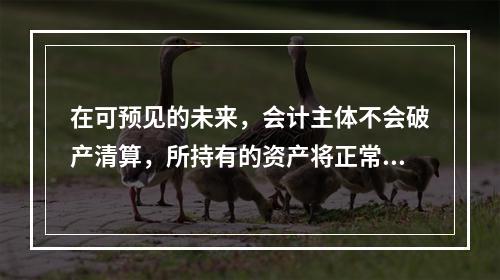 在可预见的未来，会计主体不会破产清算，所持有的资产将正常营运