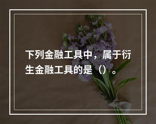 下列金融工具中，属于衍生金融工具的是（）。