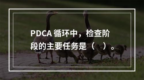 PDCA 循环中，检查阶段的主要任务是（　）。