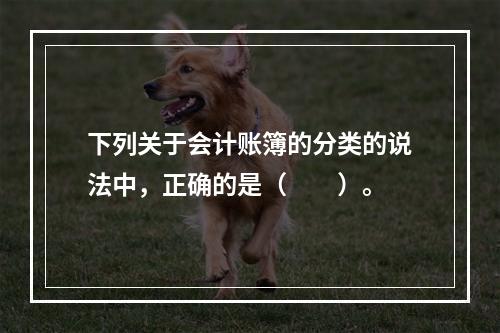 下列关于会计账簿的分类的说法中，正确的是（　　）。