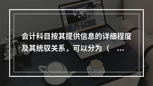 会计科目按其提供信息的详细程度及其统驭关系，可以分为（　　）