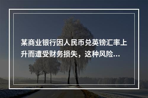 某商业银行因人民币兑英镑汇率上升而遭受财务损失，这种风险属于