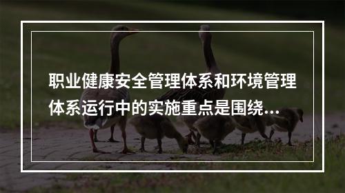 职业健康安全管理体系和环境管理体系运行中的实施重点是围绕（　