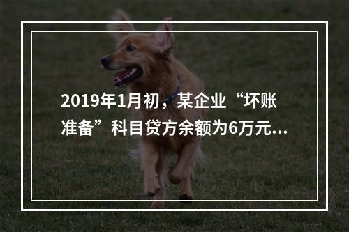 2019年1月初，某企业“坏账准备”科目贷方余额为6万元。1