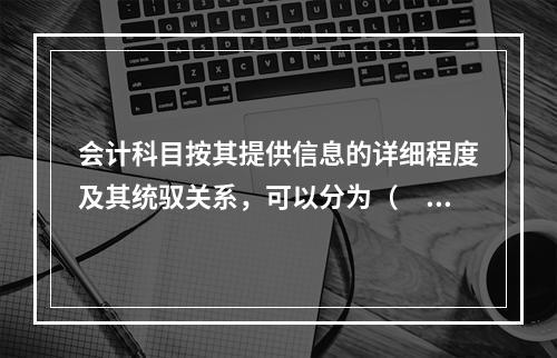 会计科目按其提供信息的详细程度及其统驭关系，可以分为（　　）