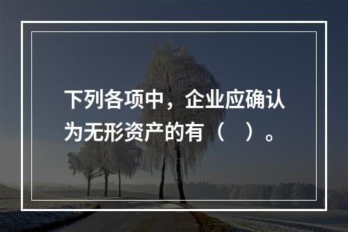 下列各项中，企业应确认为无形资产的有（　）。