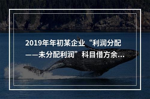 2019年年初某企业“利润分配——未分配利润”科目借方余额2