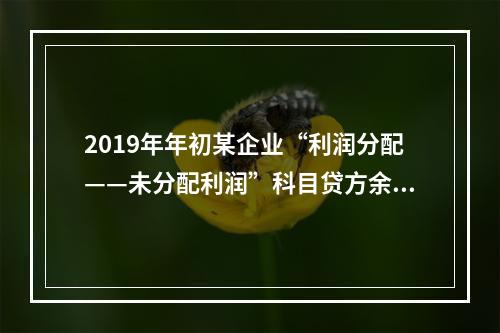 2019年年初某企业“利润分配——未分配利润”科目贷方余额为