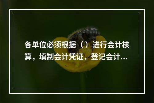 各单位必须根据（ ）进行会计核算，填制会计凭证，登记会计账簿