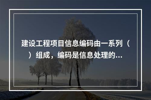 建设工程项目信息编码由一系列（　）组成，编码是信息处理的一项