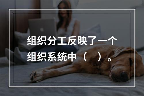 组织分工反映了一个组织系统中（　）。