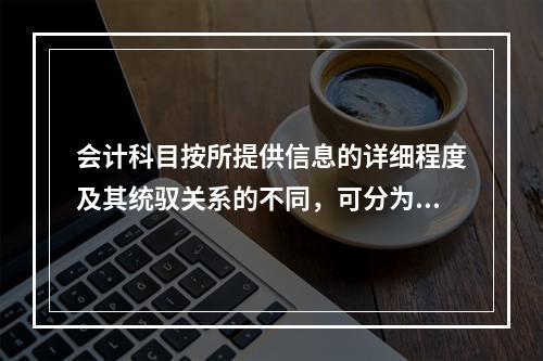 会计科目按所提供信息的详细程度及其统驭关系的不同，可分为（