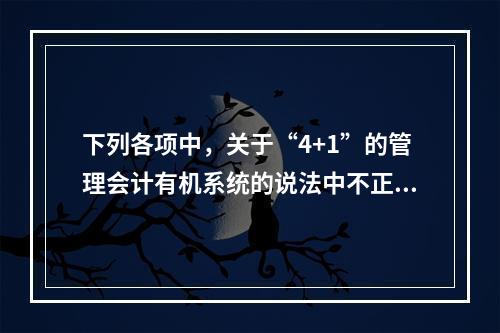 下列各项中，关于“4+1”的管理会计有机系统的说法中不正确的