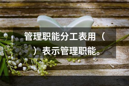 管理职能分工表用（　）表示管理职能。