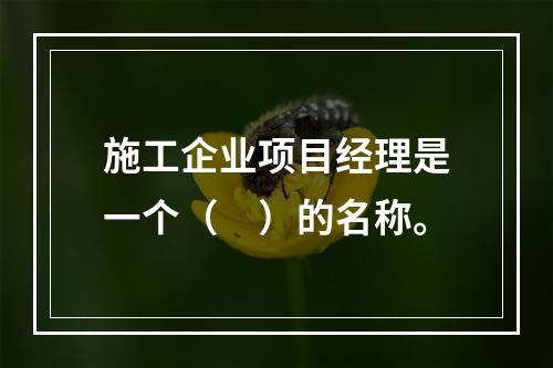 施工企业项目经理是一个（　）的名称。