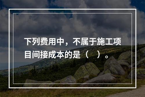 下列费用中，不属于施工项目间接成本的是（　）。