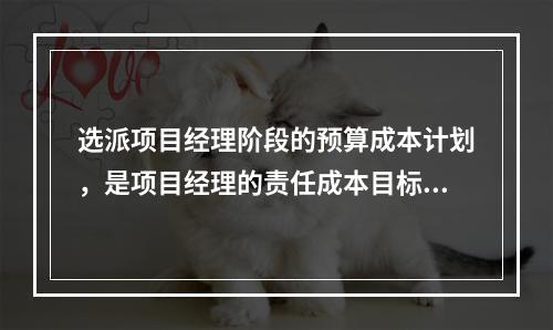 选派项目经理阶段的预算成本计划，是项目经理的责任成本目标，属