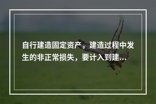 自行建造固定资产，建造过程中发生的非正常损失，要计入到建造成