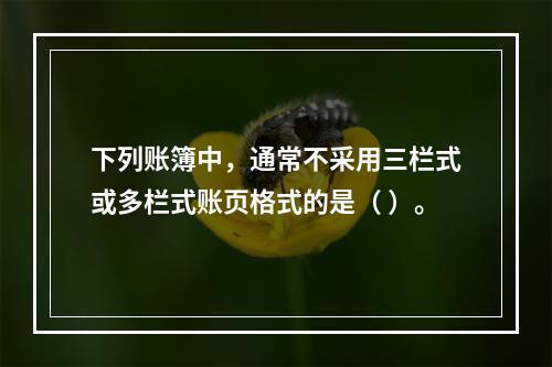 下列账簿中，通常不采用三栏式或多栏式账页格式的是（ ）。