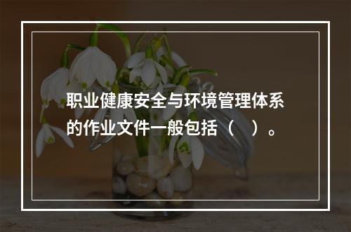 职业健康安全与环境管理体系的作业文件一般包括（　）。