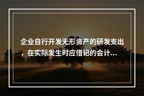 企业自行开发无形资产的研发支出，在实际发生时应借记的会计科目