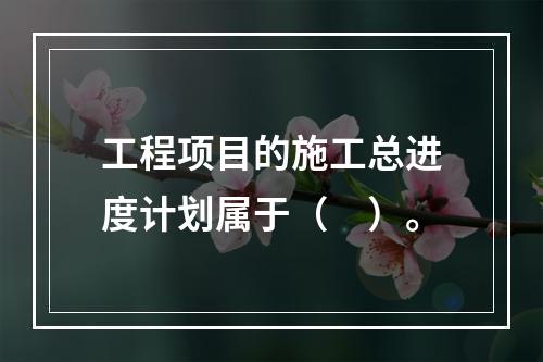 工程项目的施工总进度计划属于（　）。