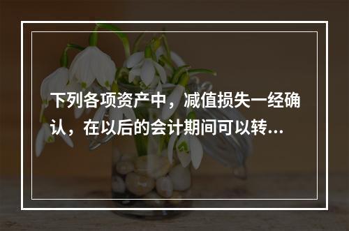 下列各项资产中，减值损失一经确认，在以后的会计期间可以转回的