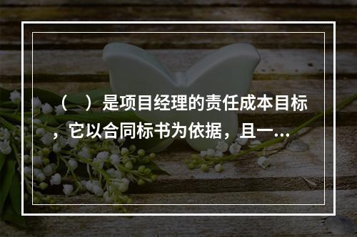 （　）是项目经理的责任成本目标，它以合同标书为依据，且一般情