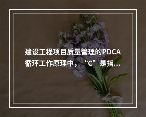 建设工程项目质量管理的PDCA循环工作原理中，“C”是指（　