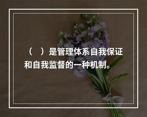 （　）是管理体系自我保证和自我监督的一种机制。