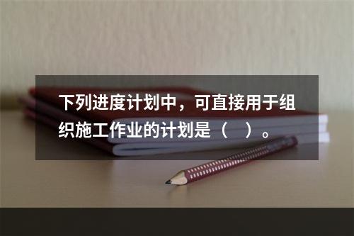 下列进度计划中，可直接用于组织施工作业的计划是（　）。