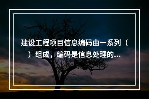 建设工程项目信息编码由一系列（　）组成，编码是信息处理的一项