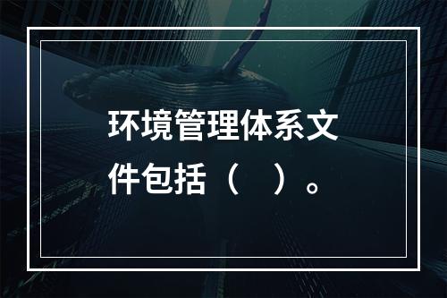 环境管理体系文件包括（　）。