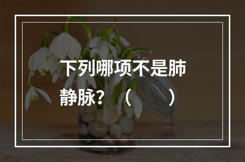 下列哪项不是肺静脉？（　　）