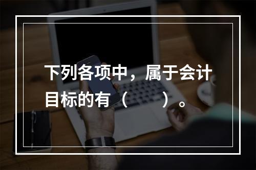 下列各项中，属于会计目标的有（　　）。