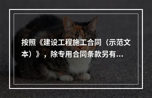 按照《建设工程施工合同（示范文本）》，除专用合同条款另有约定