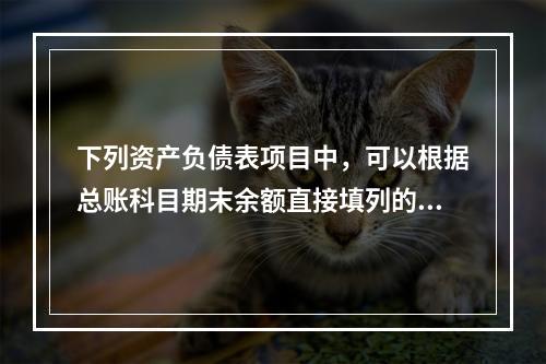 下列资产负债表项目中，可以根据总账科目期末余额直接填列的是（