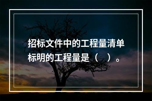 招标文件中的工程量清单标明的工程量是（　）。