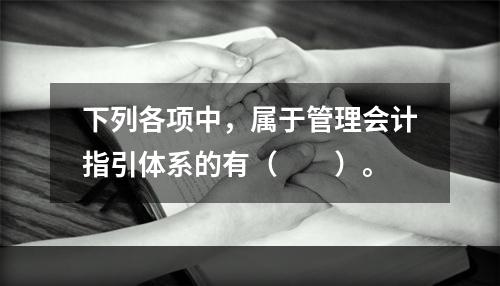 下列各项中，属于管理会计指引体系的有（　　）。