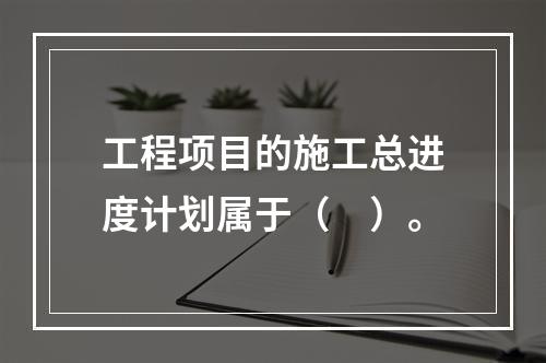 工程项目的施工总进度计划属于（　）。