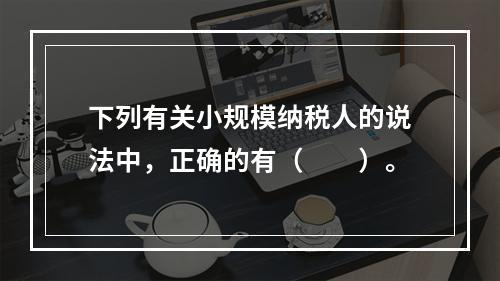 下列有关小规模纳税人的说法中，正确的有（　　）。