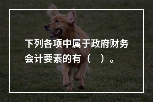 下列各项中属于政府财务会计要素的有（　）。