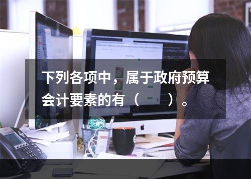 下列各项中，属于政府预算会计要素的有（　　）。