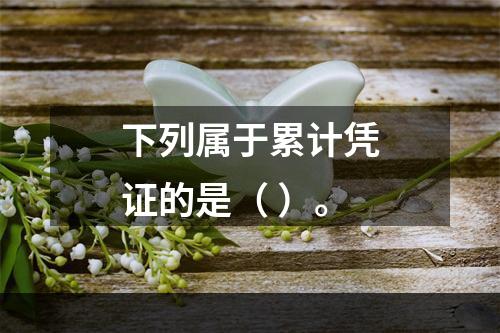 下列属于累计凭证的是（ ）。