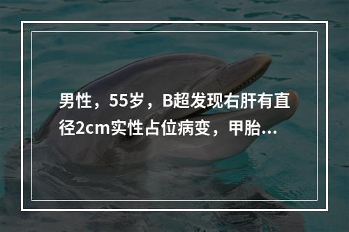 男性，55岁，B超发现右肝有直径2cm实性占位病变，甲胎蛋白