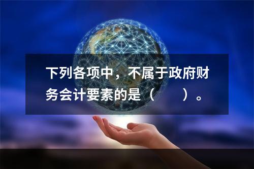 下列各项中，不属于政府财务会计要素的是（　　）。