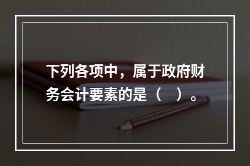 下列各项中，属于政府财务会计要素的是（　）。