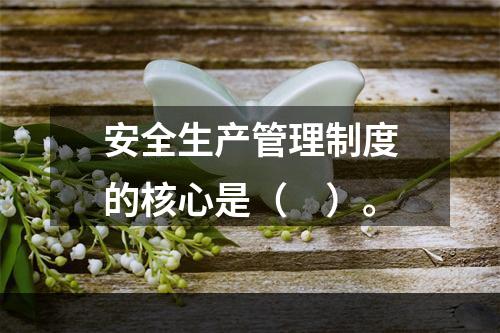 安全生产管理制度的核心是（　）。